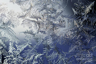 Christmas Typography - Frost on a Windowpane by Thomas R Fletcher