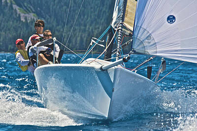 Modern Man Air Travel Royalty Free Images - Melges Tahoe Royalty-Free Image by Steven Lapkin