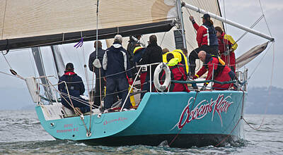 Sports Royalty Free Images - Whidbey Island Race Week Royalty-Free Image by Steven Lapkin