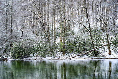 Ingredients Rights Managed Images - Winter along Williams River Royalty-Free Image by Thomas R Fletcher