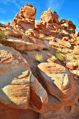 On Trend Breakfast Royalty Free Images - Valley of Fire Royalty-Free Image by Ray Mathis
