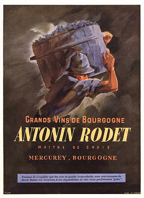 Wine Digital Art Royalty Free Images - 1946 Advertisement Grands Vins de Bourgogne Antonin Rodet Grapes Royalty-Free Image by MN Digital
