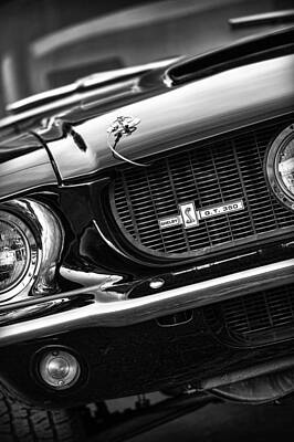 Reptiles Photo Royalty Free Images - 1967 Mustang Shelby GT350 Royalty-Free Image by Gordon Dean II