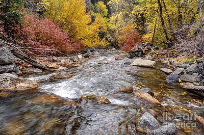 Landmarks Photos - American Fork Canyon Creek in Autumn - Utah by Gary Whitton