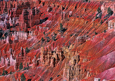 Neutrality Royalty Free Images - Bryce Canyon 2 - Sunset Point Royalty-Free Image by Allen Beatty