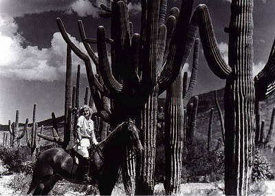 Advertising Archives Rights Managed Images - Film Homage Jean Harlow Bombshell 1933 Saguaro National Monument Tucson Arizona Duo-tone 2008 Royalty-Free Image by David Lee Guss
