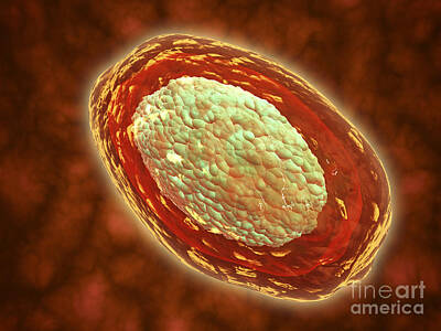 Abstract Digital Art - Microscopic View Of Samllpox by Stocktrek Images