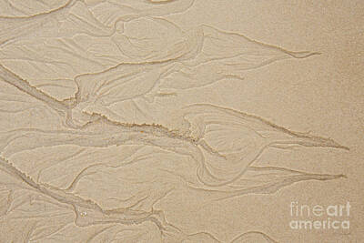 Andy Fisher Test Collection - Ocean Sand Art Hearts Left Side by Iris Richardson