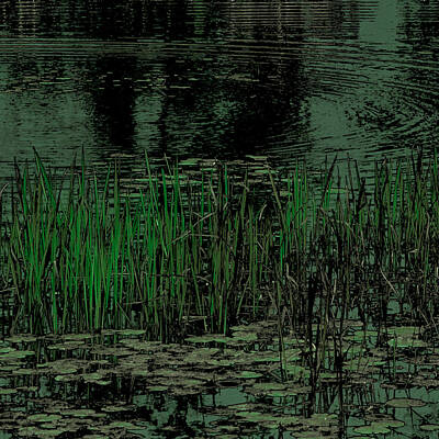 Abstract Landscape Photos - Pond Grasses by David Patterson