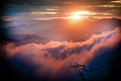 Bald Eagle - Red Sunset Himalayas Mountain Nepal by Raimond Klavins