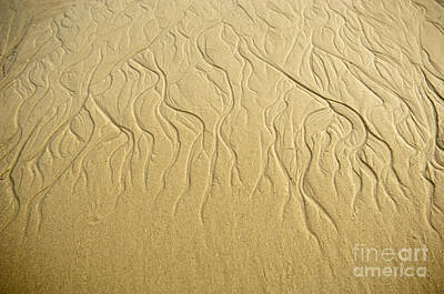 Abstract Landscape Photos - Sand Patterns by THP Creative