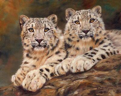 Mammals Paintings - Snow Leopards by David Stribbling
