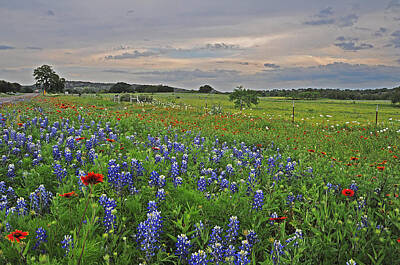 Sports Illustrated Covers - Sunset Skies Over Wildflowers by Lynn Bauer