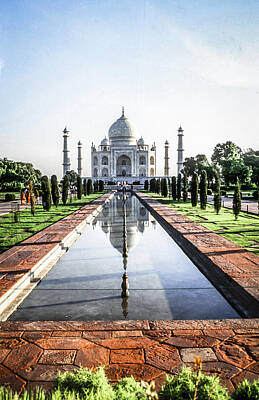 The Stinking Rose - Taj Mahal by Chris Smith