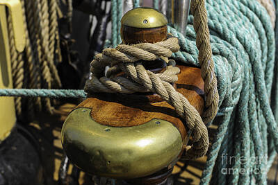 Amy Hamilton Animal Collage Royalty Free Images - Tall Ship Rigging Royalty-Free Image by Dale Powell