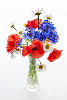 Florals Photos - Wildflower bouquet in vase by Elena Elisseeva