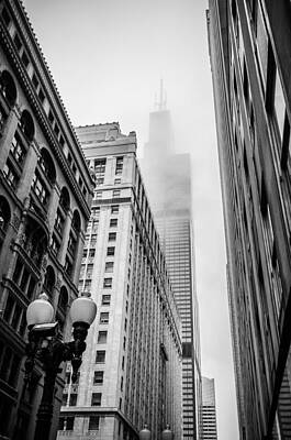 Sultry Plants Rights Managed Images - Willis Tower in the Clouds - Black and White Royalty-Free Image by Anthony Doudt