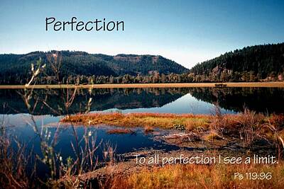 Jerry Sodorff Royalty-Free and Rights-Managed Images - 21042 Perfection 2 by Jerry Sodorff