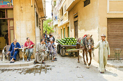 Whimsical Animal Illustrations - Cairo Old Town In Egypt by JM Travel Photography