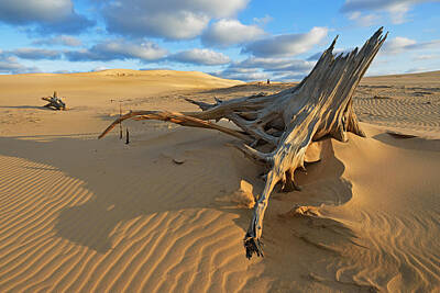 Creative Charisma - Silver Lake Sand Dunes by Dean Pennala