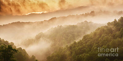 Fine Dining - Misty Mountain Sunrise by Thomas R Fletcher