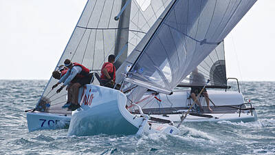 Anne Geddes Collection Rights Managed Images - Key West Race Week Royalty-Free Image by Steven Lapkin