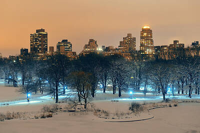 Bear Paintings Royalty Free Images - Central Park winter Royalty-Free Image by Songquan Deng