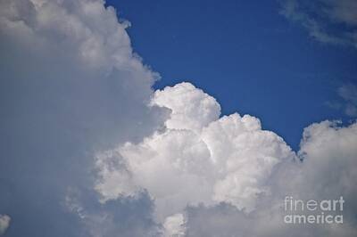 For The Cat Person Royalty Free Images - Clouds   Royalty-Free Image by Frank Conrad 