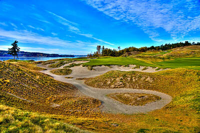 Hearts In Every Form Royalty Free Images - #3 at Chambers Bay Golf Course - Location of the 2015 U.S. Open Championship Royalty-Free Image by David Patterson