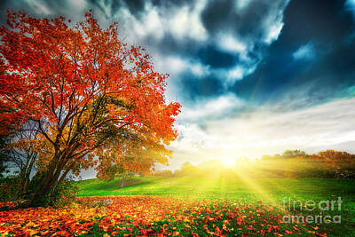 Printscapes - Autumn fall landscape in park by Michal Bednarek