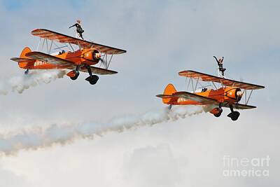 Woodland Animals - Breitling Wing Walkers by David Fowler