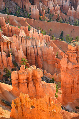 Little Mosters Rights Managed Images - Bryce Canyon Royalty-Free Image by Ray Mathis