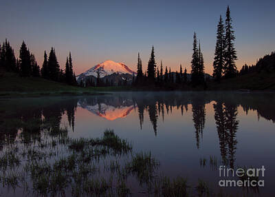 Vermeer Rights Managed Images - First Light on Mt. Rainier Royalty-Free Image by Michael Dawson
