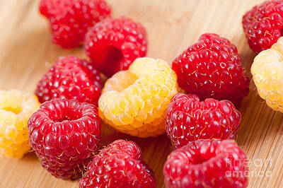 Paint Tube - Fresh Golden And Red Raspberries Fruits  by Arletta Cwalina