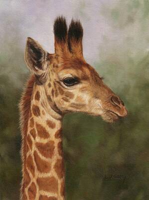 Mammals Paintings - Giraffe by David Stribbling