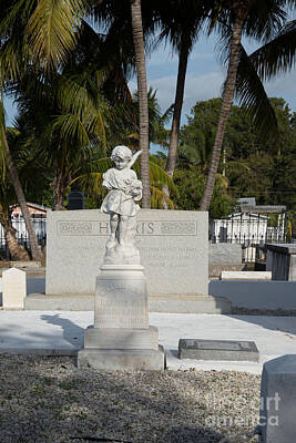 Architecture David Bowman - Key West Cemetery by Carol Ailles