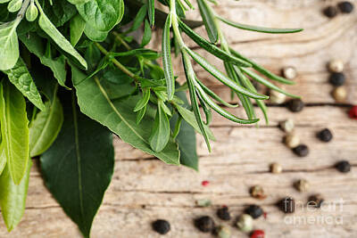 Still Life Royalty-Free and Rights-Managed Images - Kitchen Herbs by Nailia Schwarz