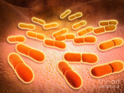 Namaste With Pixels - Microscopic View Of Listeria by Stocktrek Images
