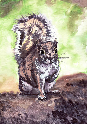 Portraits Paintings - Squirrel by Masha Batkova
