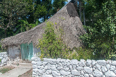 Mans Best Friend Rights Managed Images - Traditional Mayan Homes in Rural Yucatan  Royalty-Free Image by Carol Ailles