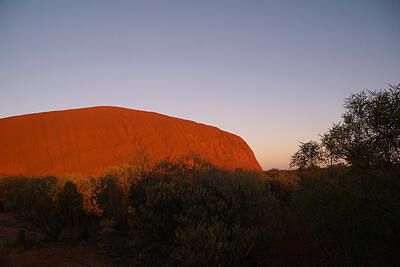 Pediatricians Office - Uluru Sunrise by Carol Ailles