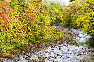 Anne Geddes - Williams River Autumn by Thomas R Fletcher
