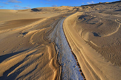 Silvia Ganora Textures - Silver Lake Sand Dunes by Dean Pennala