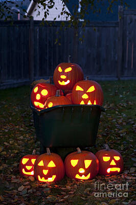 Animal Portraits Royalty Free Images - Lit Carved Pumpkins In A Wheel Barrow Royalty-Free Image by Jim Corwin