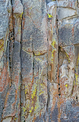 Target Project 62 Abstract - Rock Climber by Elijah Weber