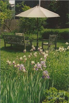 Yukon Wildflowers - #483 19 Iris in the Garden by Robin Lee Mccarthy Photography