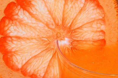 Music Tees - Grapefruit by Peter Lakomy