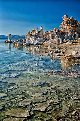 Mammals Royalty-Free and Rights-Managed Images - Mono Lake by Cat Connor