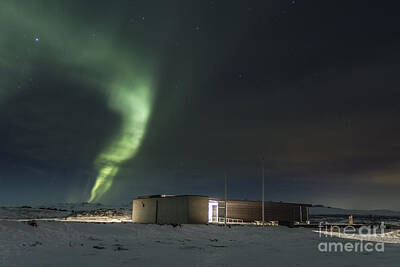 Bear Photography - Northern Lights Iceland by Gunnar Orn Arnason