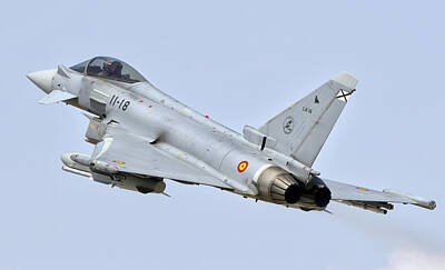 Rabbit Marcus The Great Royalty Free Images - Spanish Air Force Ef-2000 Typhoon Royalty-Free Image by Giovanni Colla